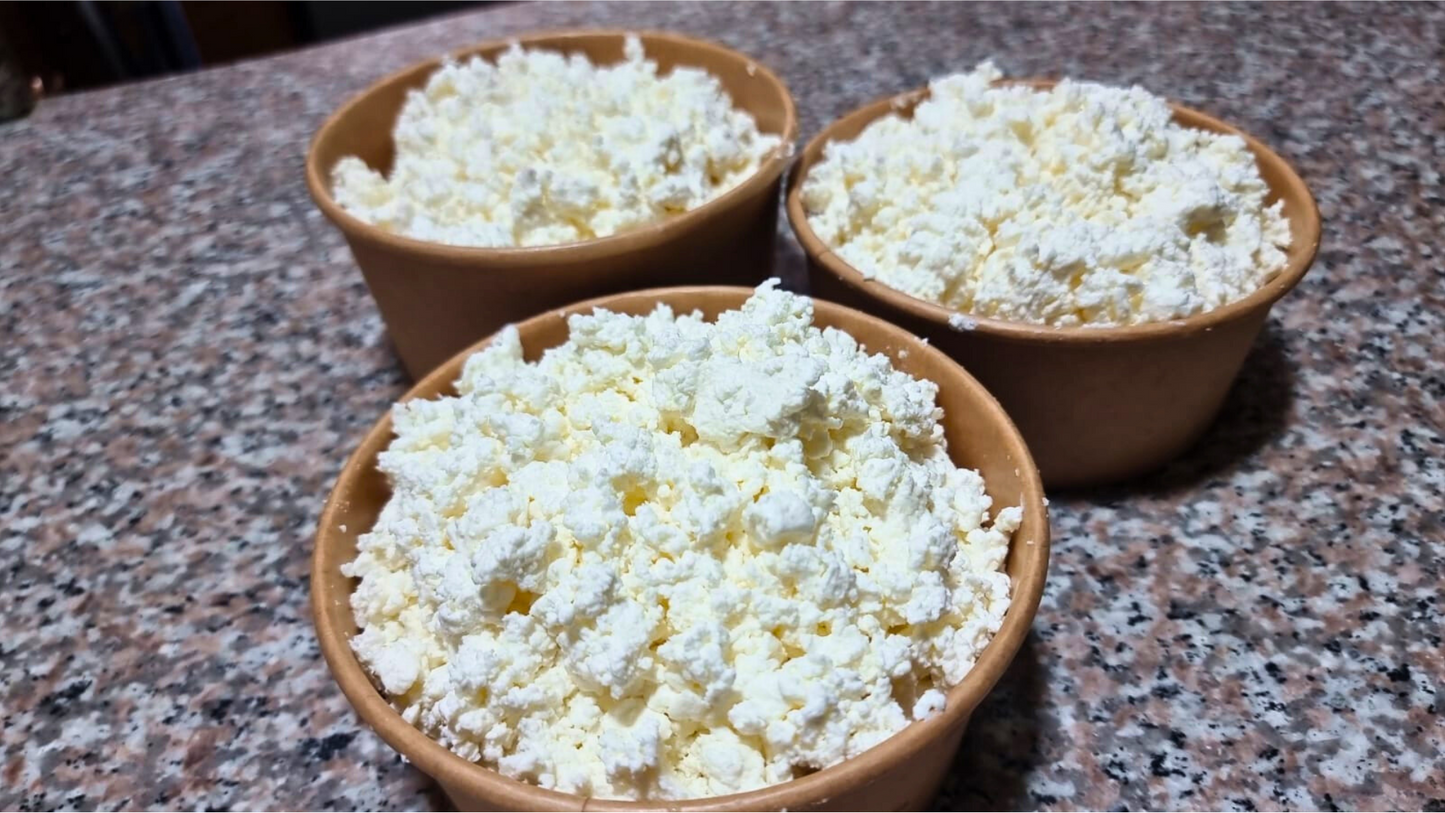 Cottage cheese/ جبنة الكوتاج (الكوخ)